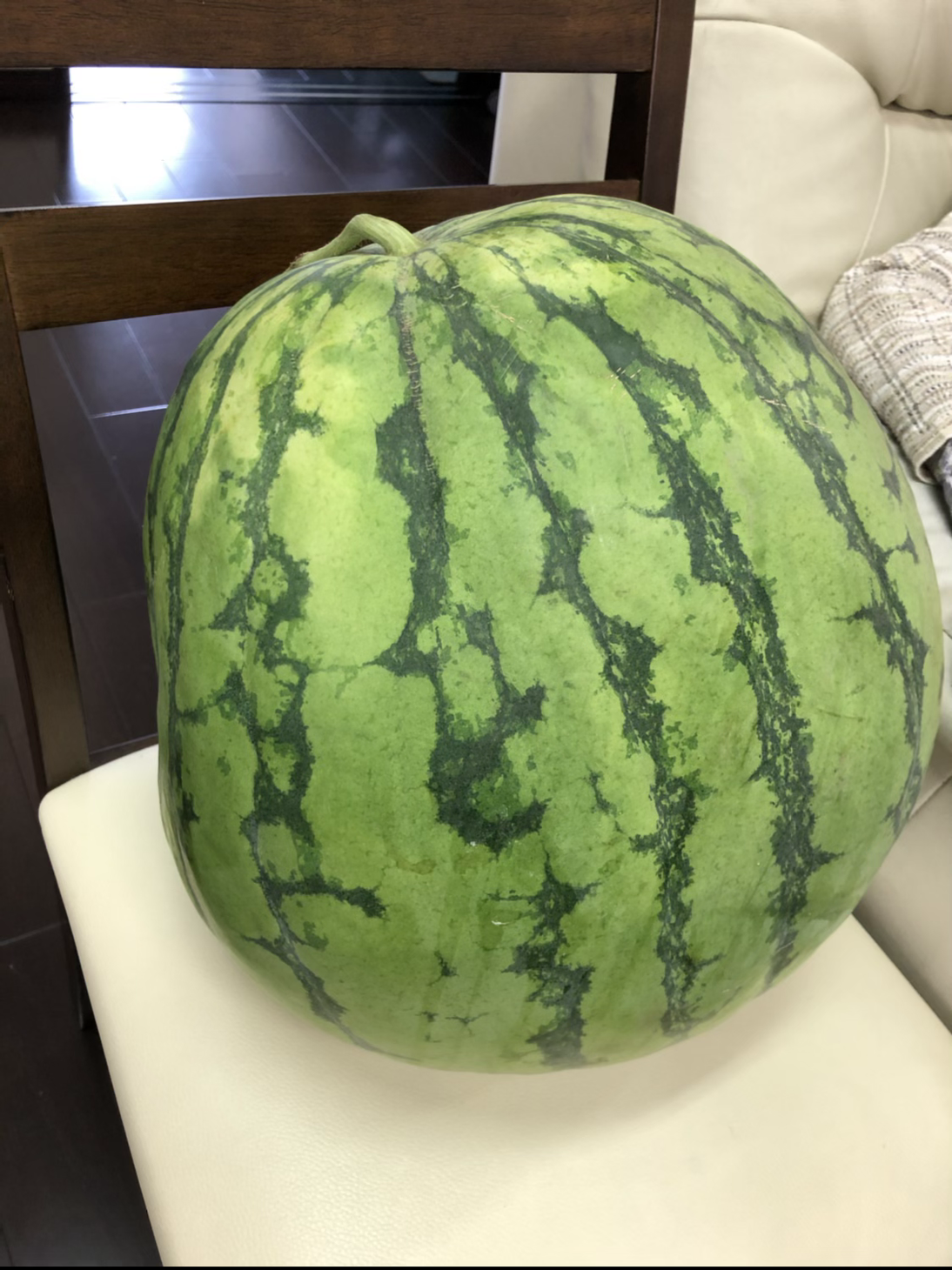 Mばあちゃんとだるまちゃん